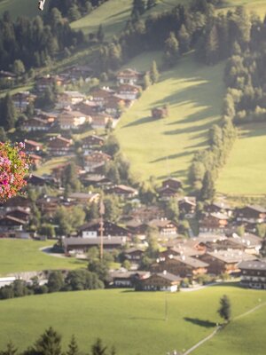 Alpbach Summer