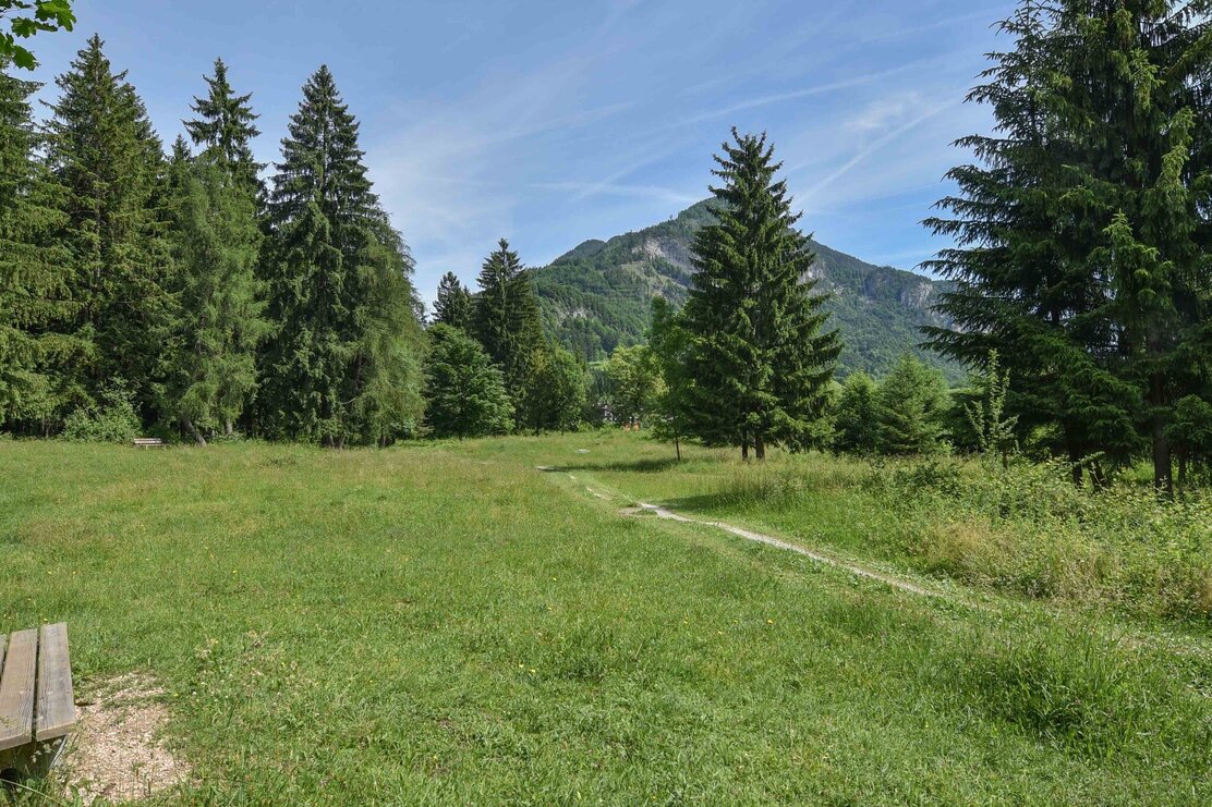 Fitness mile picnic area forest and meadow | © Birgit Angermair