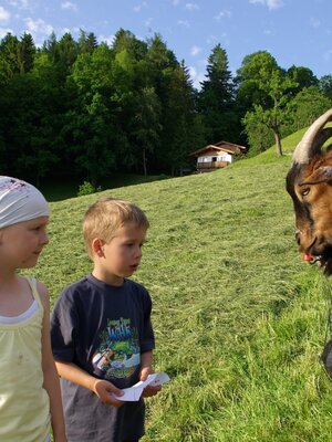 Kinder beim Ziegenfüttern am Pinzgerhof | © Pinzgerhof