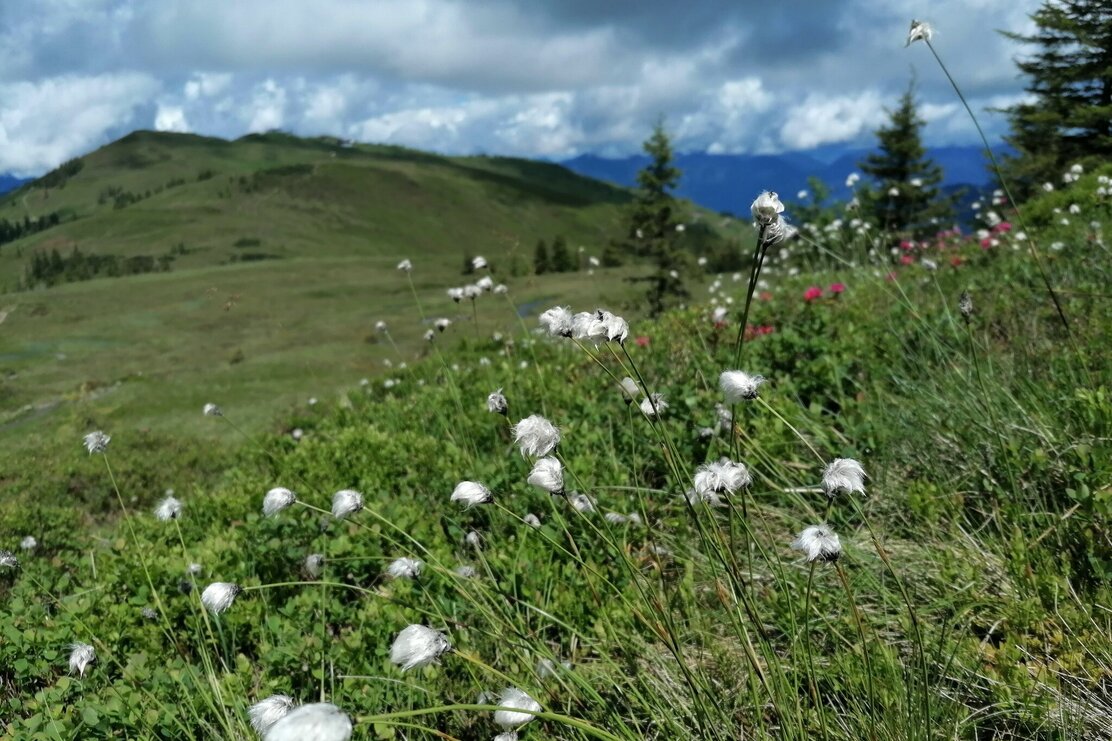 Wildschönau Auffach Sternboden | © Wildschönau Tourismus