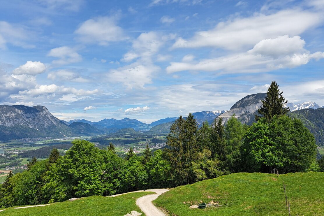 Möslalm MTB 343 (3).jpg | © Wildschönau Tourismus