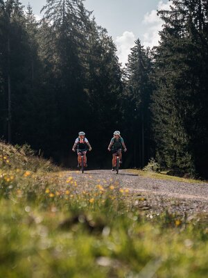 Biketrail Tirol - Kitzbüheler Alpen Rundtour Ghost @Region Hohe Salve - Stefan Ringler (75).jpg