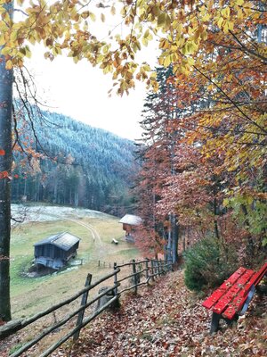 Wildschönau Oberau Füllnwies @ | © Wildschönau Tourismus