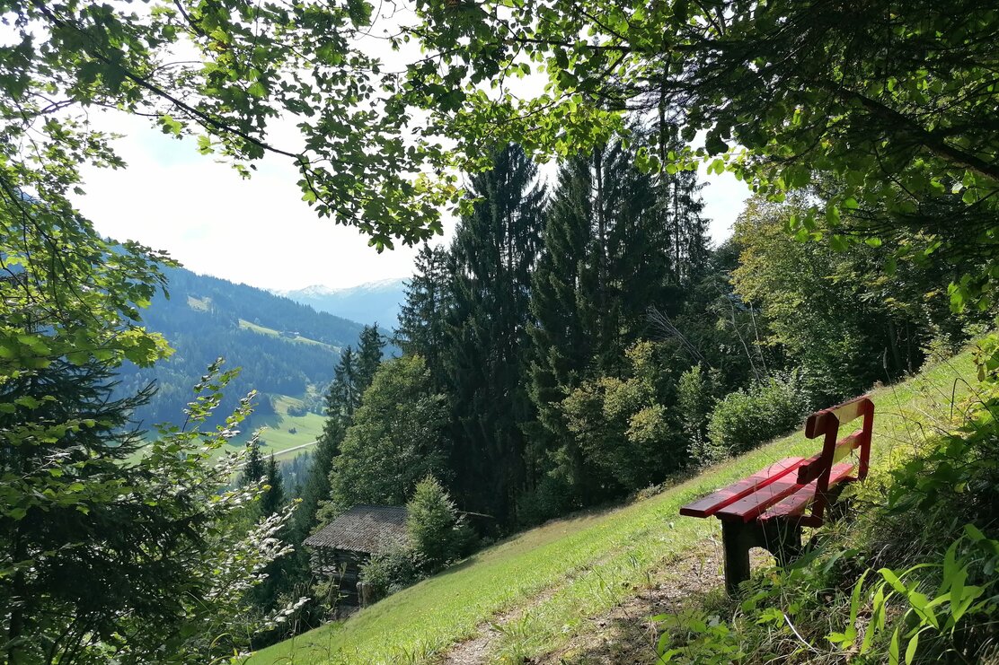 Wildschönau Oberau Stocker @ | © Wildschönau Tourismus