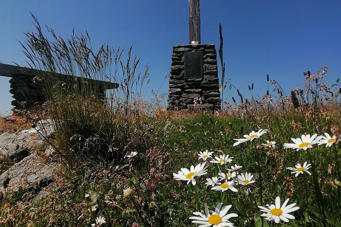 Wildschönau Tourismus Sonnjoch Gipfelkreuz Margeriten Gewi.jpg