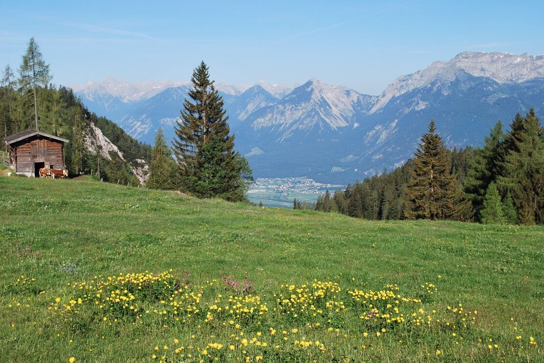 Zimmermoss Brixlegg © Wildschönau Tourismus   | © Wildschönau Tourismus