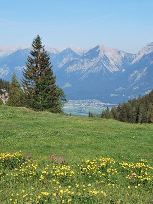 Wildschönau Brixlegger Holzalm | © Wildschönau Tourismus
