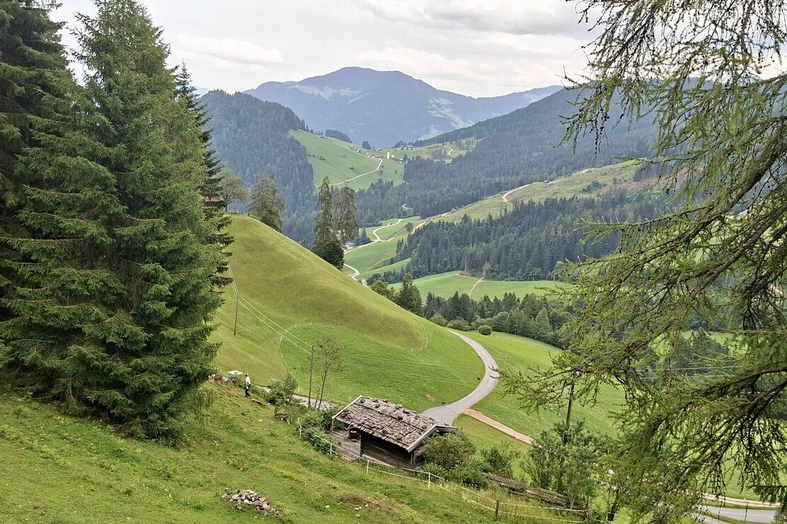 Thierbach Grasberg © Wildschönau Tourismus   | © Wildschönau Tourismus