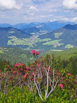 E Bike  Schatzberg Auffach © Wildschönau Tourismus | © Wildschönau Tourismus