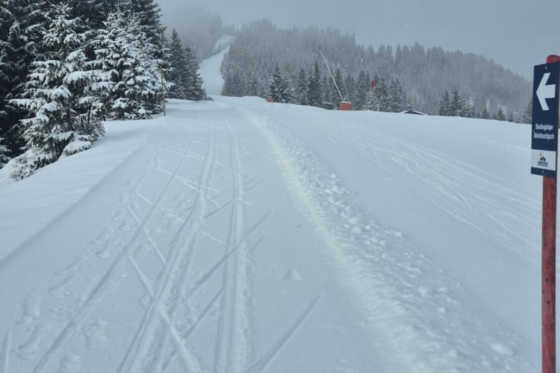 Langlaufen Höhenloipe Markbachjoch Wildschönau 