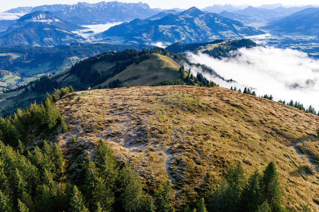 hoehenweg_trophy_drohnenaufnahme_wildschoenau__tourismus_wildschoenau_dabernig__15.jpg