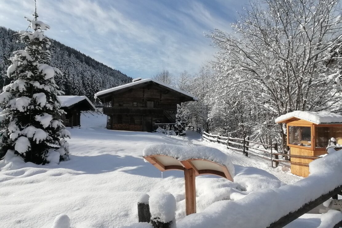 bei_zbach_1412652368.jpg | © Wildschönau Tourismus