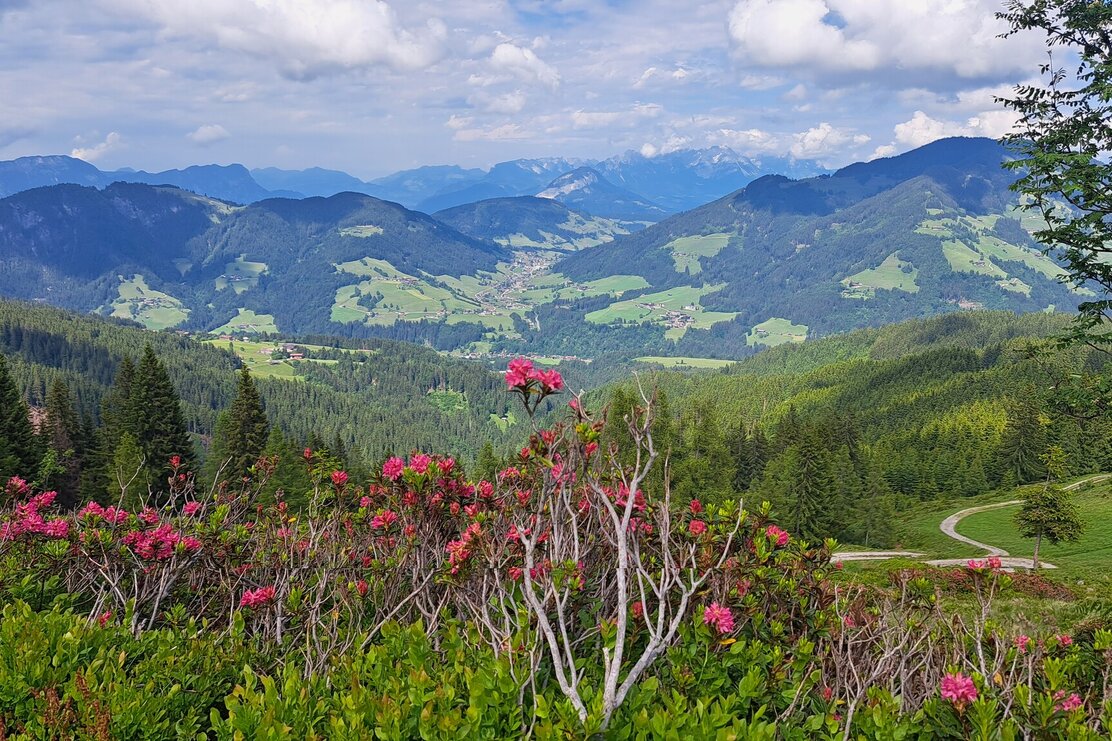 E Bike  Schatzberg Auffach © Wildschönau Tourismus | © Wildschönau Tourismus