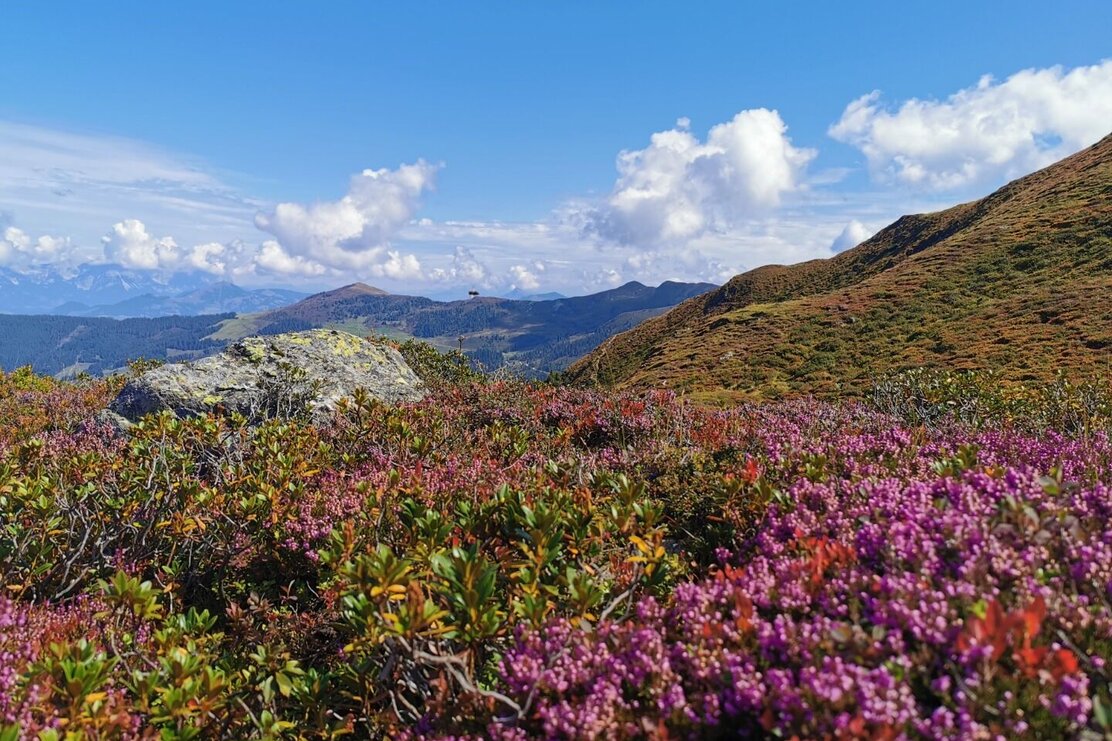 Wildschönau Lämpersberg | © Wildschönau Tourismus