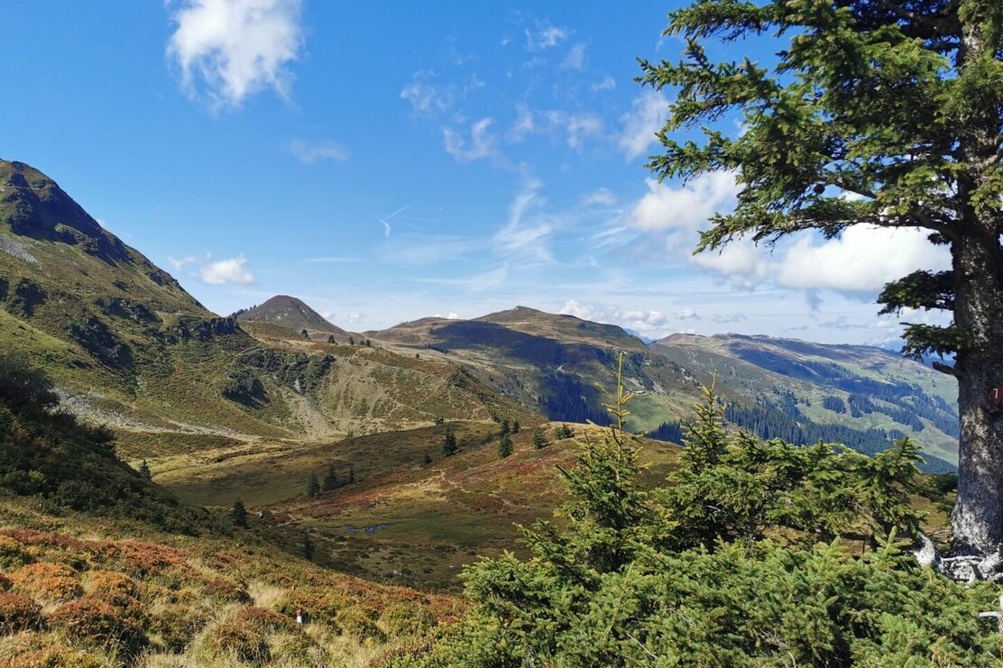 Wildschönau Lämpersberg | © Wildschönau Tourismus
