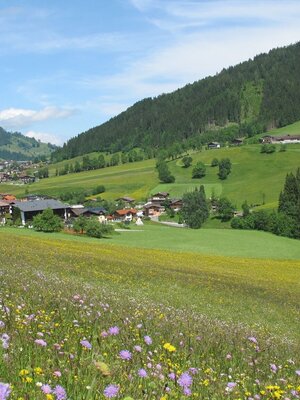 Oberau  Frühling mit Blumenwiese Wildschönau FG T.L. Rechte Wildschönau Tourismus (1).JPG