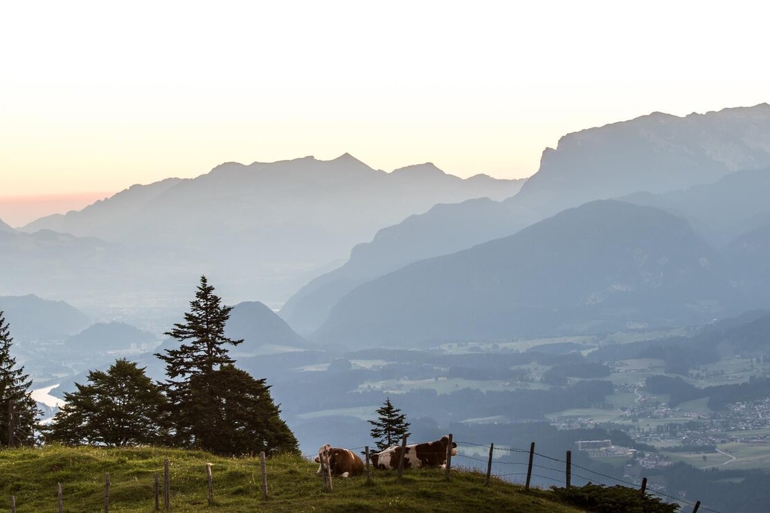 Möslalm Sommer | © Wildschönau Tourismus