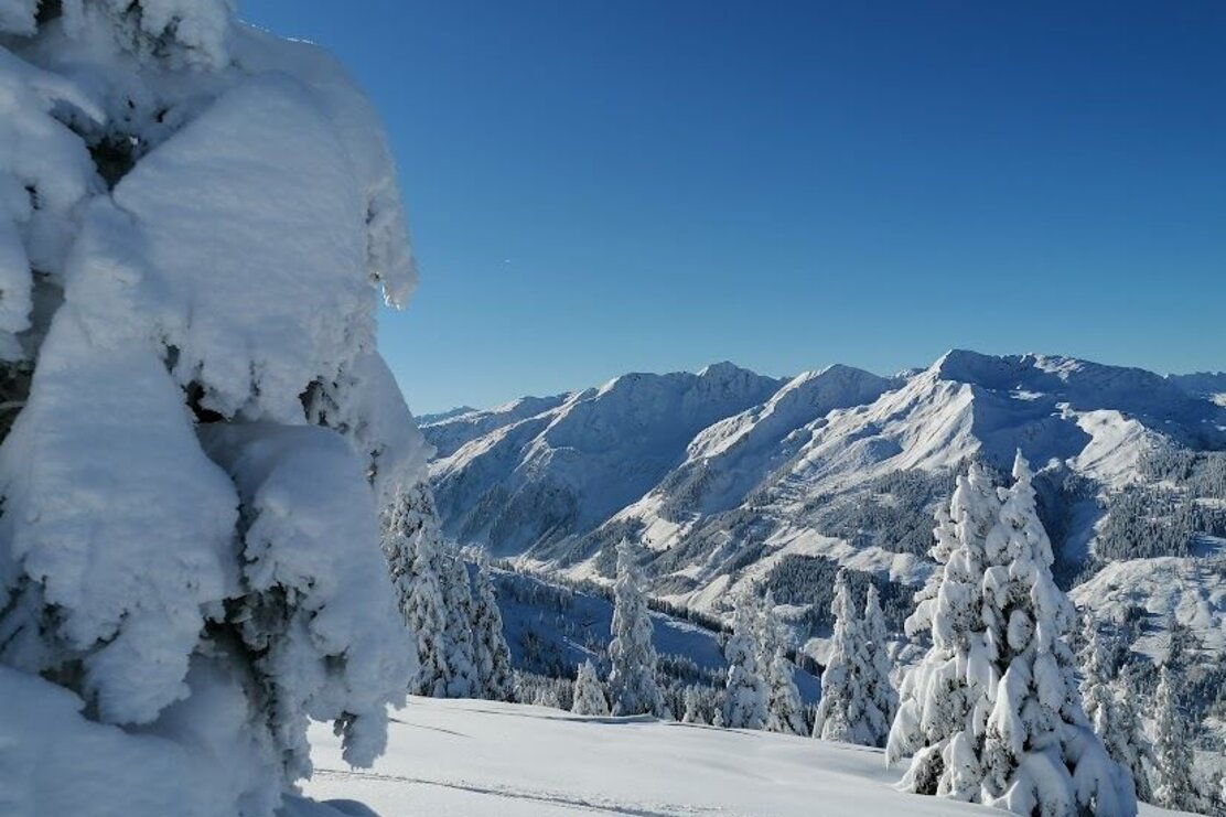 Wildschönau Auffach Prädasten.jpg | © Wildschönau Tourismus