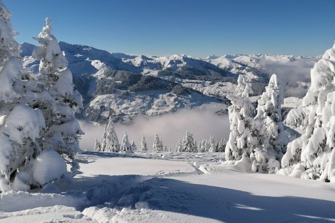 Wildschönau Aufffach Feldalphorn Abfahrt.jpg | © Wildschönau Tourismus