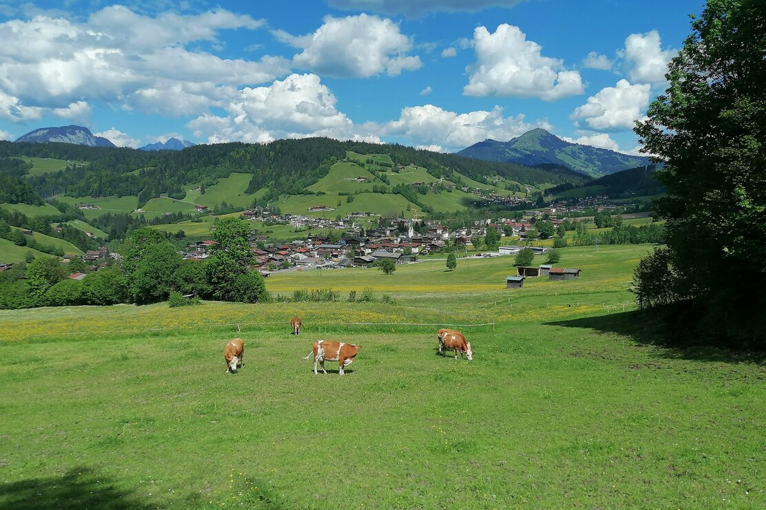 Wildschönau Niederau  | © Wildschönau Tourismus