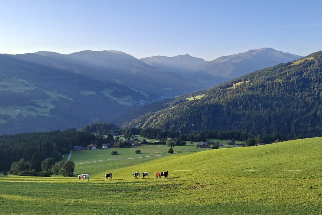 E Bike Markbachjoch Niederau © Wildschönau Tourismus | © Wildschönau Tourismus