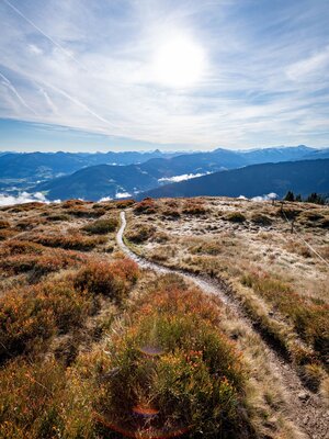 Hoehenweg Trophy Wildschönau © Tourismus Wildschönau Dabernig  (46).jpg