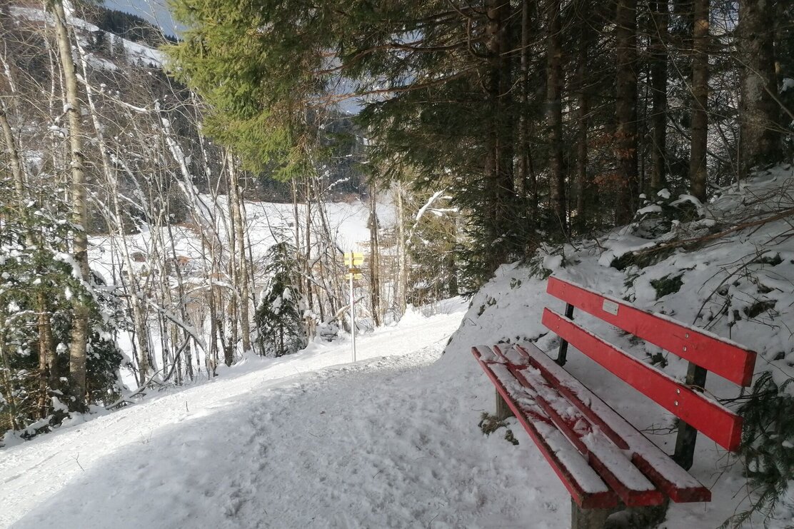 Wildschönau Oberau Waldrandweg.jpg | © Wildschönau Tourismus