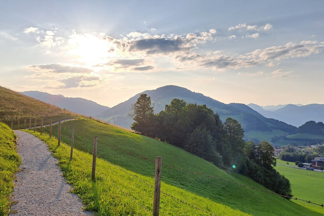 Wildschönau Niederau Waldrandweg | © Wildschönau Tourismus