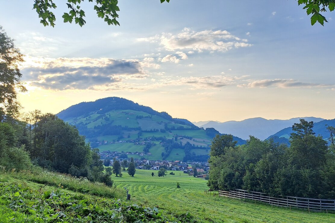 Waldrandweg Niederau © Wildschönau Tourismus | © Wildschönau Tourismus