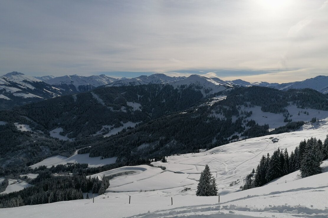 Wildschönau Lanerköpfl Aussicht | © Wildschönau Tourismus