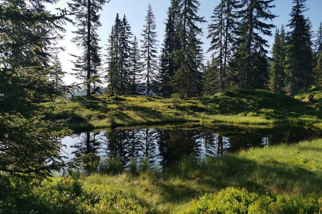Wildschönau Feldalphorn Moorseen | © Wildschönau Tourismus