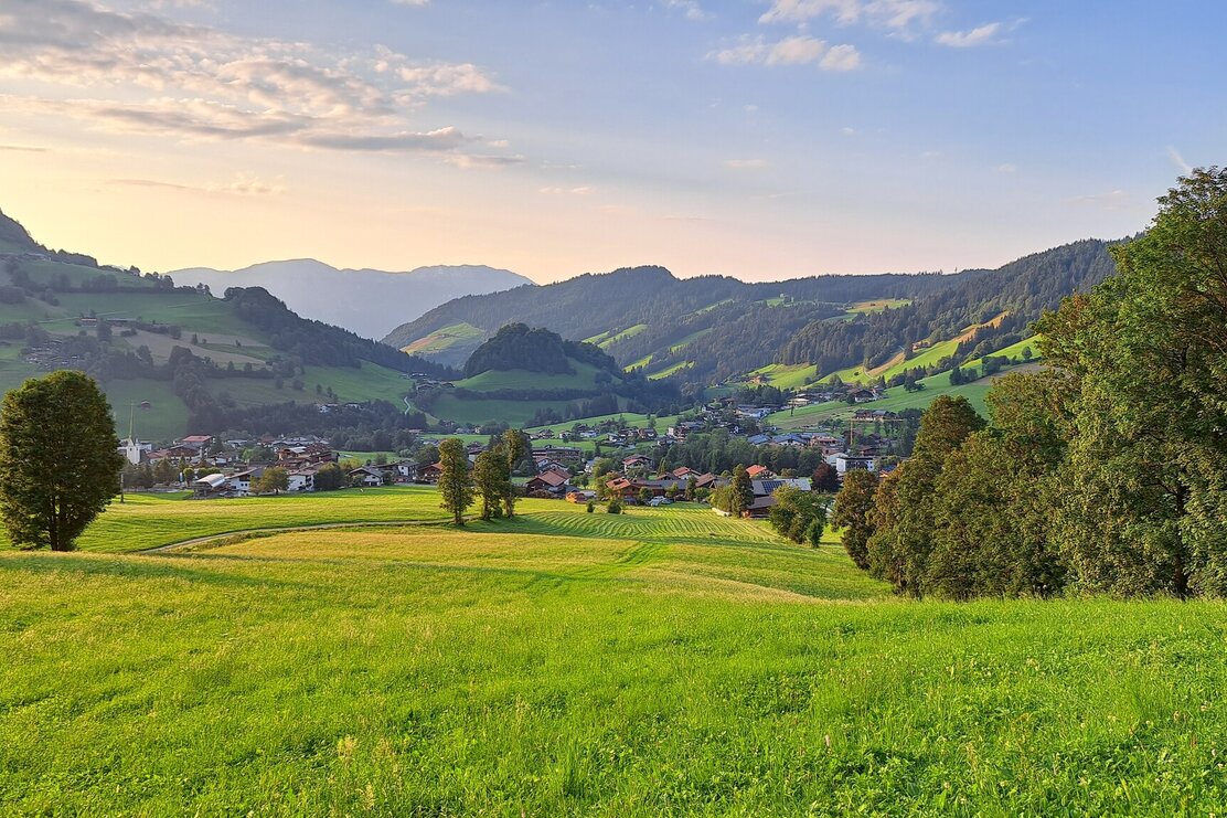 waldrandweg_niederau__1.jpg | © Wildschönau Tourismus