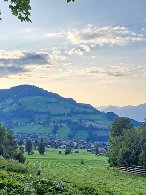 Waldrandweg Niederau © Wildschönau Tourismus | © Wildschönau Tourismus