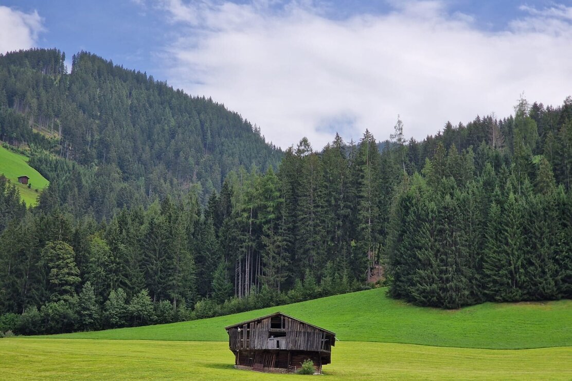 Roggenboden  Holzalm © Wildschönau Tourismus | © Wildschönau Tourismus