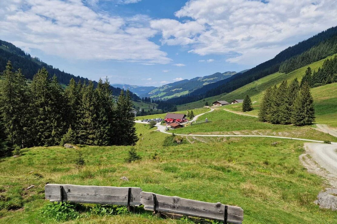 Wildschönau Schönangeralm.jpg | © Wildschönau Tourismus