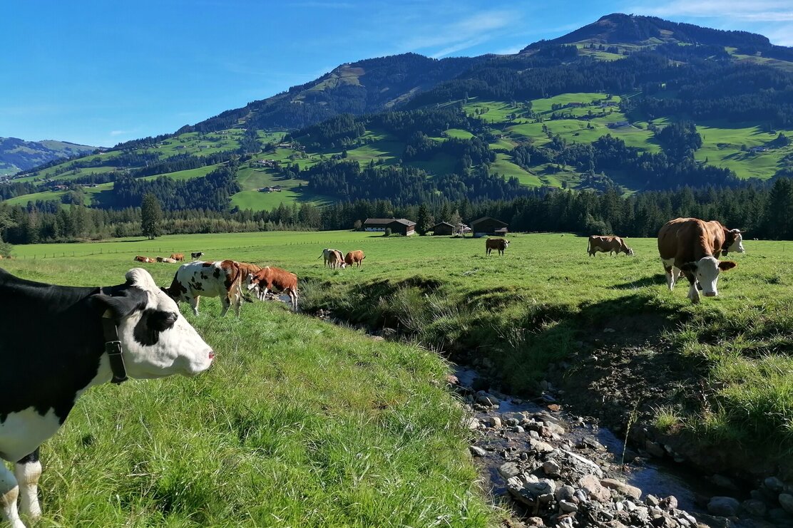 img_20220913_094755.jpg | © G. Wimmer