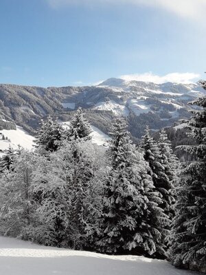 Adlerhorst Winter | © Wildschönau Tourismus