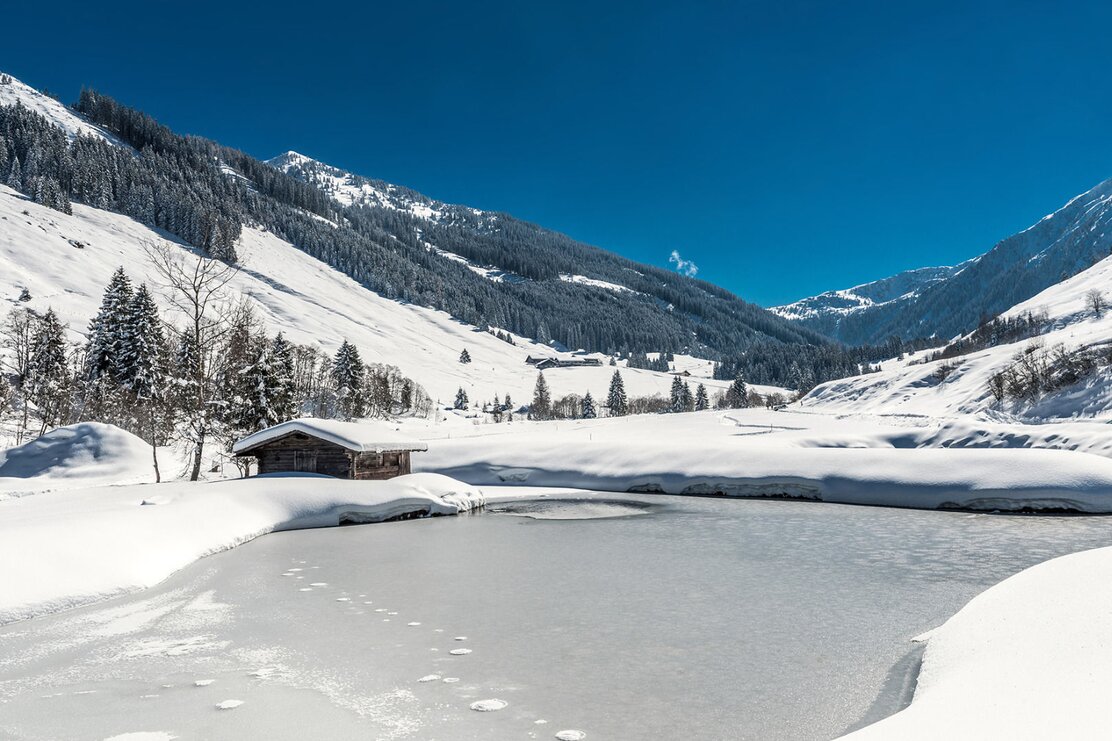 Wildschönau Auffach Schönanger Teich.jpg | © Wildschönau Tourismus