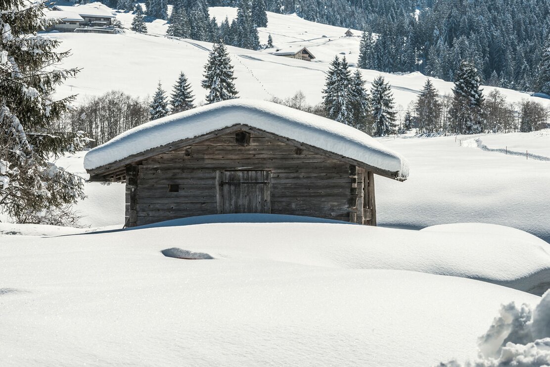 Wildschönau Schönanger Teich | © Wildschönau Tourismus
