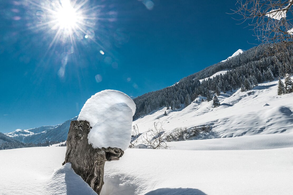 Wildschönau Auffach Schönanger Teich.jpg | © Wildschönau Tourismus