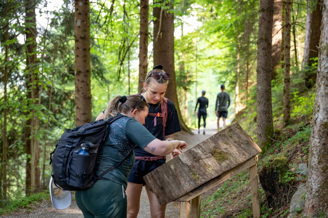 Wildschönau Auffach Holzweg @ | © Wildschönau Tourismus