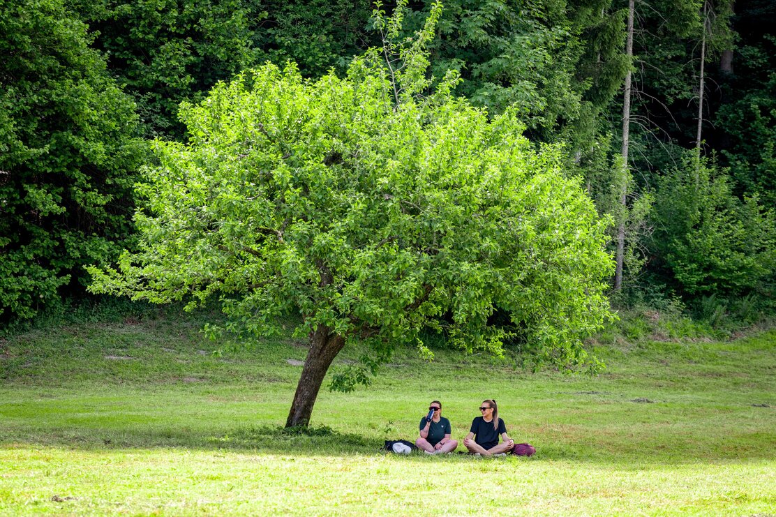 Wildschönau Auffach Holzweg @ | © Wildschönau Tourismus