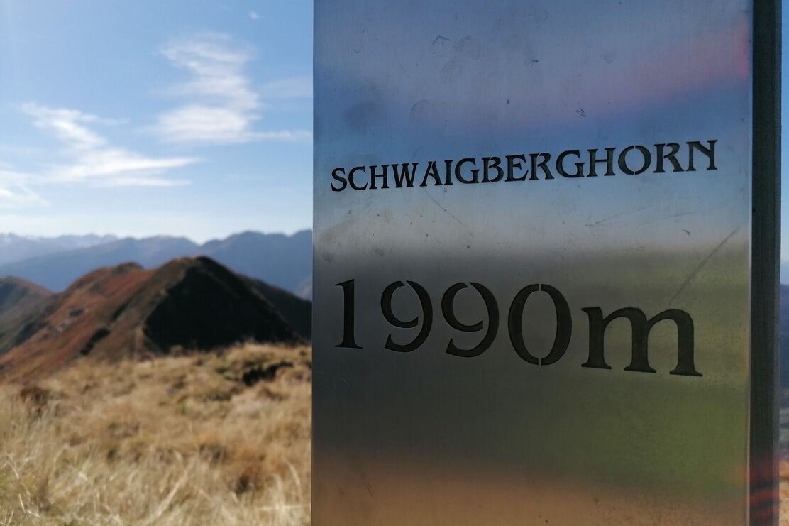 Schwaigberghorn am Gipfel.jpg