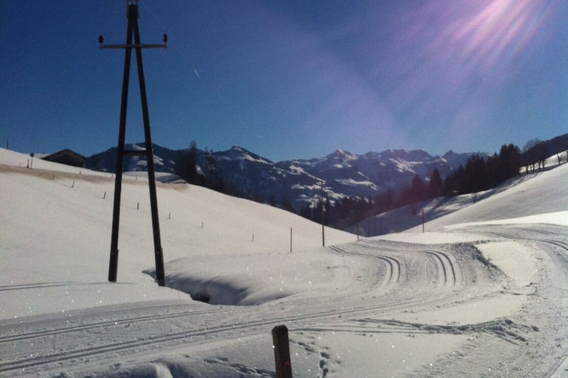 Wildschönau Langlauf | © Wildschönau Tourismus