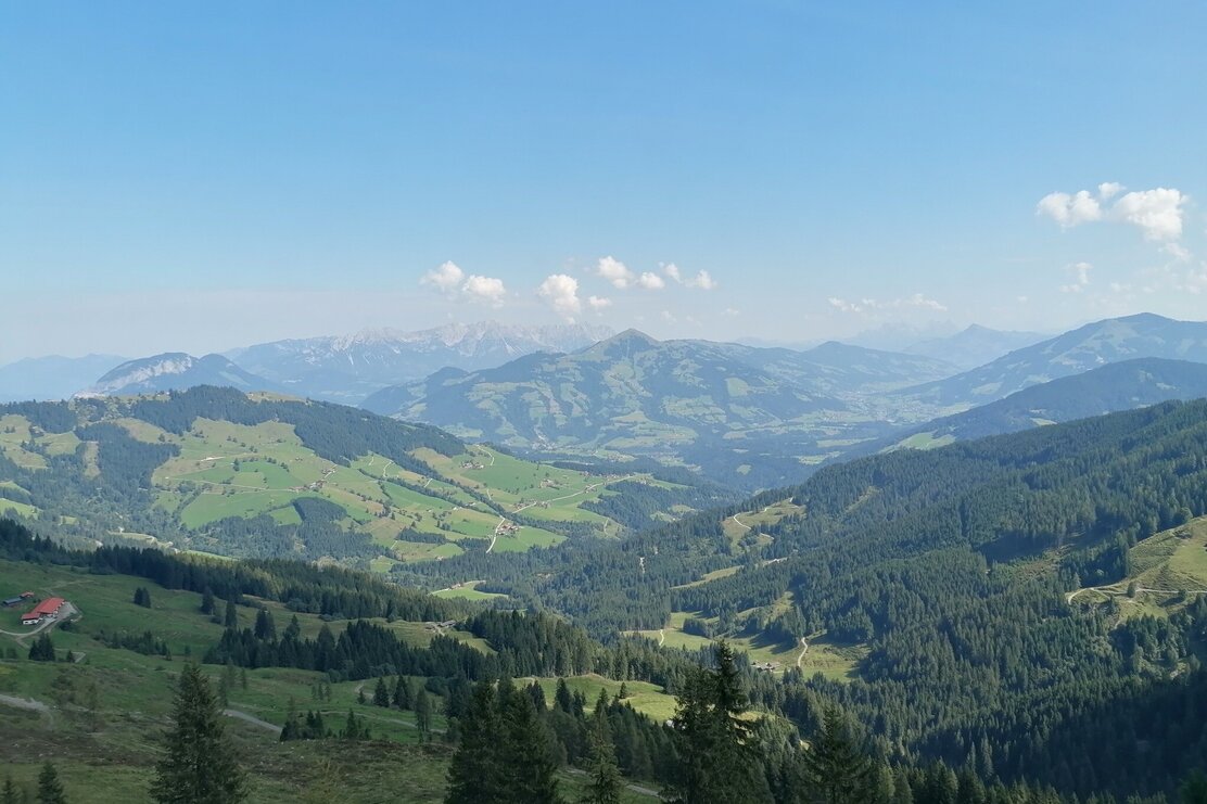 Wildschönau Tourismus Aufstieg Feldalpohorn Gewi.jpg