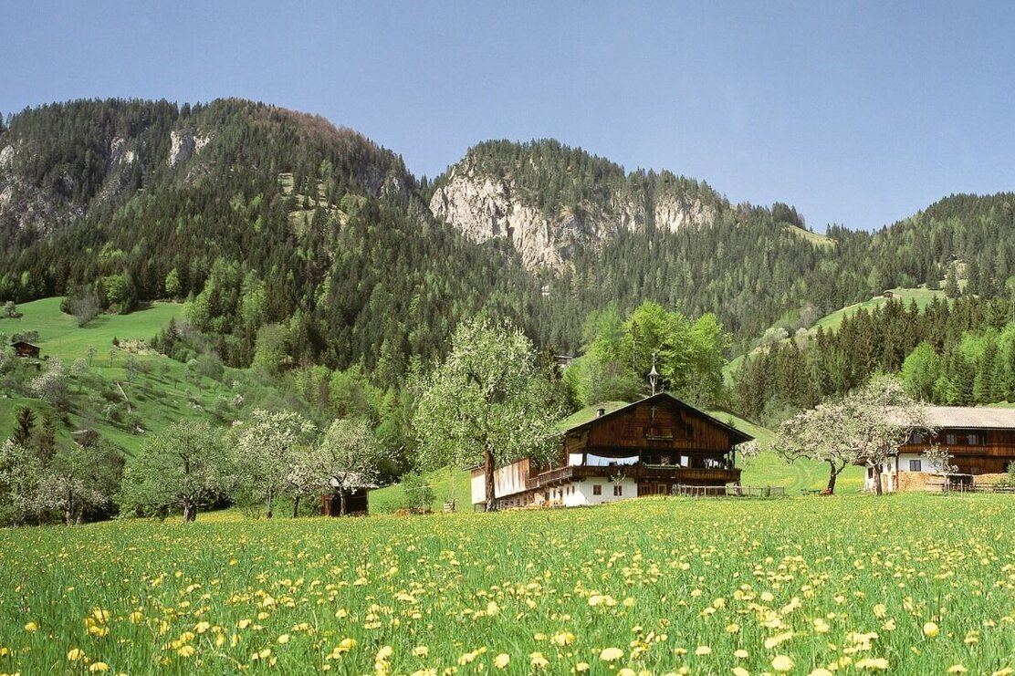 Frühling Bauernhof Ebersau ©TVB Wildschönau.jpg | © Wildschönau Tourismus