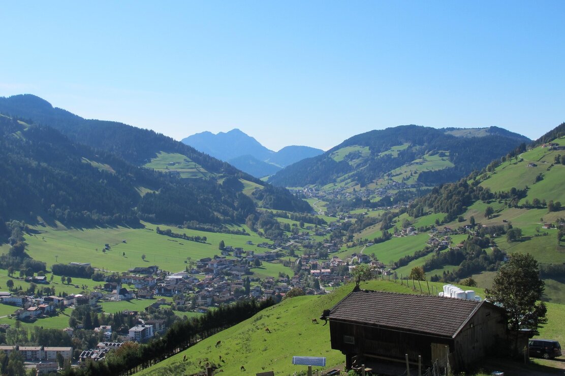 Wildgehege Foisching Sommer | © Wildschönau Tourismus