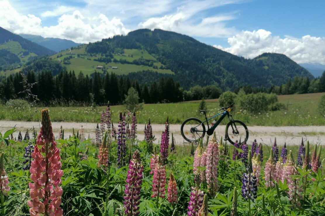 Wildschönau MTB Möslalm | © Wildschönau Tourismus