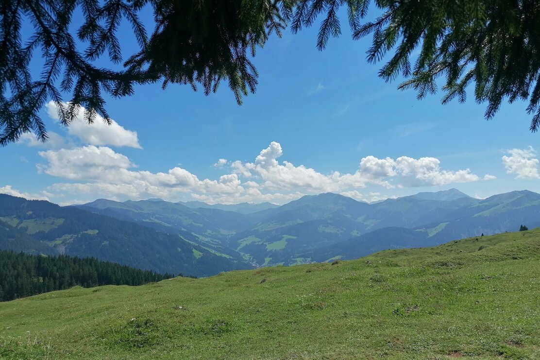 wildschoenau_tourismus_mtb_kragenjoch_aussicht_gewi.jpg | © Wildschönau Tourismus