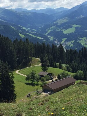 Achentalalm3.JPG | © Wildschönau Tourismus
